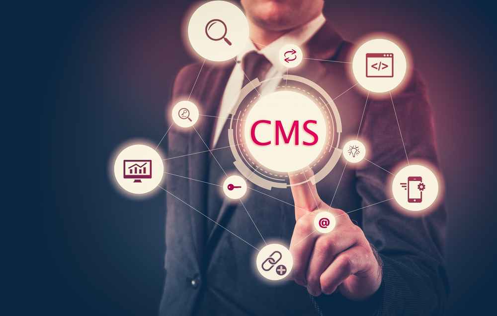 Content Management Systems (CMS)