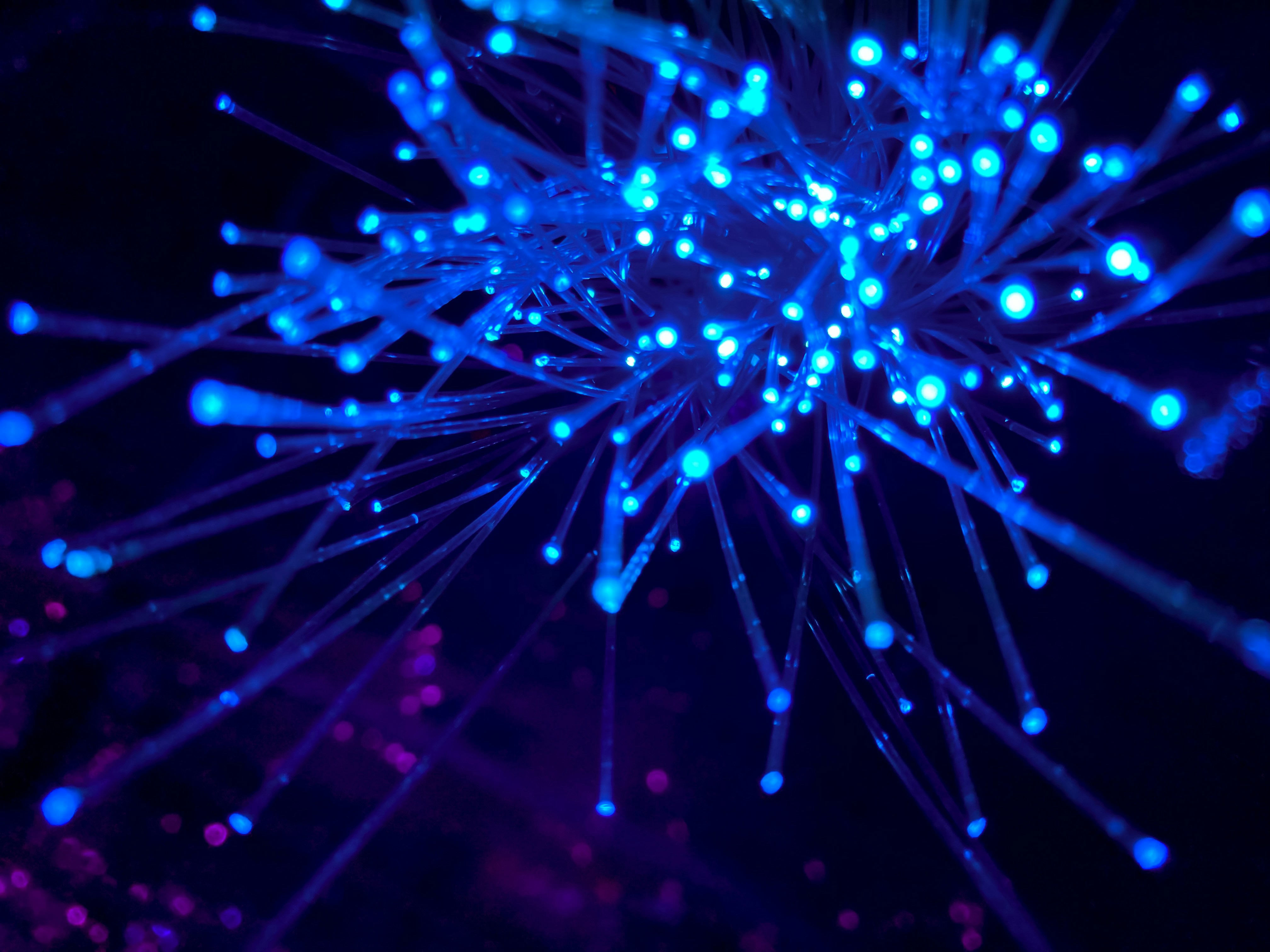 Microservices Architecture: Why Modern Applications Are Built This Way